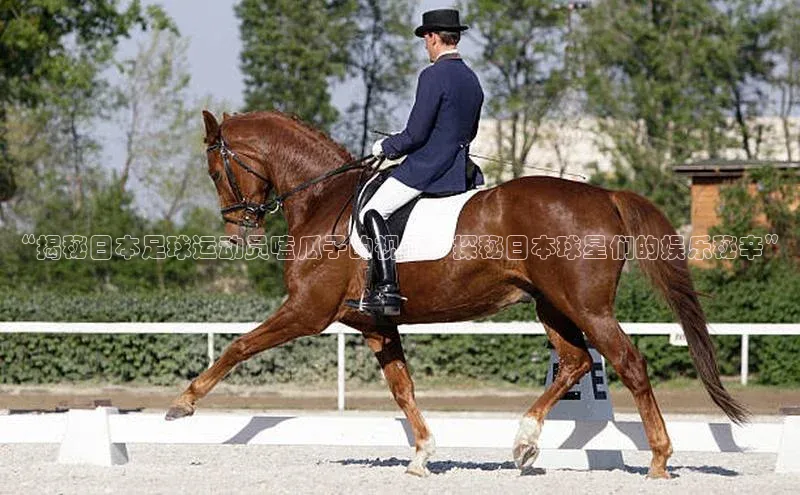 加拿大28圈曹操预测哇咔哇咔文化“揭秘日本足球运动员嗑瓜子的视频：探秘日本球星们的娱乐秘辛”