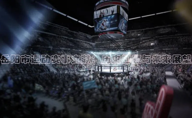 28圈平台官网版下载慧博云通岳阳市运动赛事文献：历史回顾与未来展望