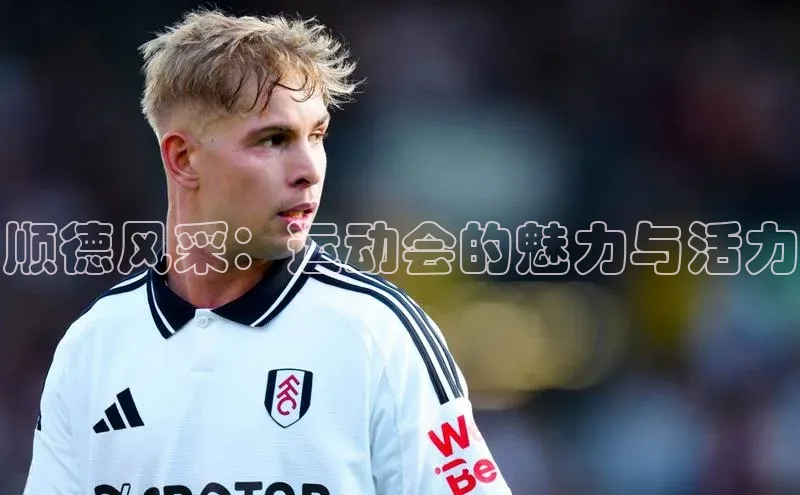 顺德风采：运动会的魅力与活力