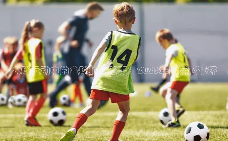 水球运动中的全球顶尖赛事：2023年国际冠军杯