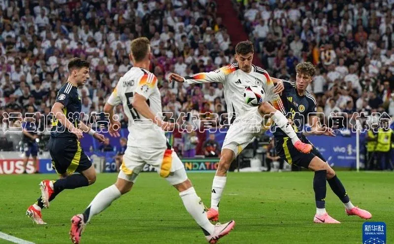 运动的激情：一场体育盛会中的见闻体验