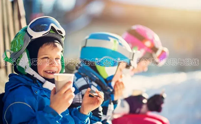 法斗的风采：法式斗牛犬在各类运动赛事中的精彩表现与挑战