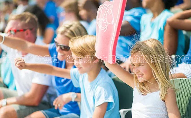 活力四射的焦点：运动赛事专用毛巾的独特魅力分析