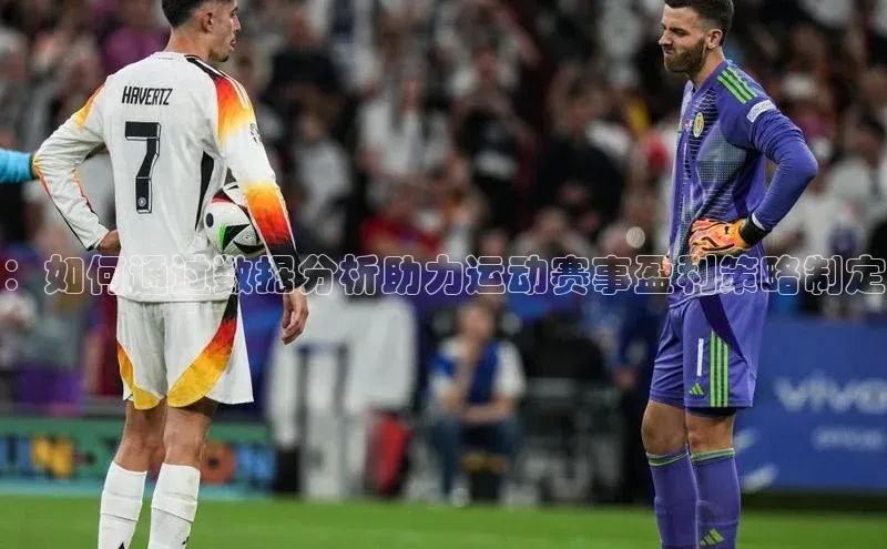 ：如何通过数据分析助力运动赛事盈利策略制定