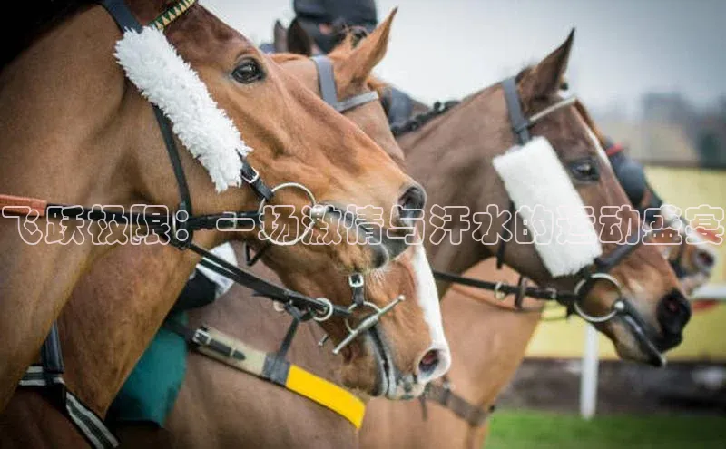 加拿大28预测开奖官网咪牌