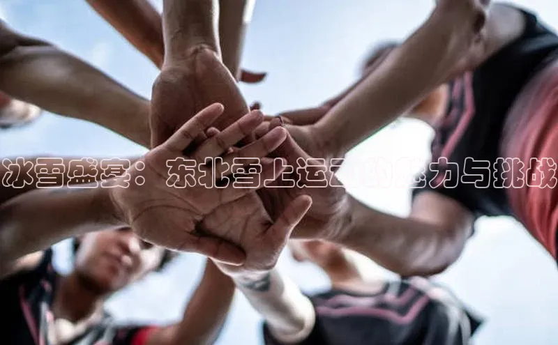 28圈.ccmpc29官网版下载